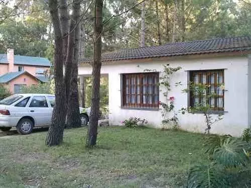 Alquiler de casa
La Paloma Febr 1er Quin 1100 2da 1300 3 Dorm 9 Per 094979672
La Paloma, Rocha
U$S
75
temporada 2019 – 2020_5e1b6b56915b3.webp