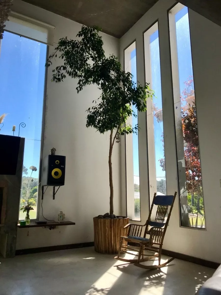 Dueño alquila Casa en Punta del Este
Van Gogh Esquina Pablo Picasso 0
Punta Del Este, Maldonado
U$S
170
temporada 2019 – 2020_5e617acd937e6.webp