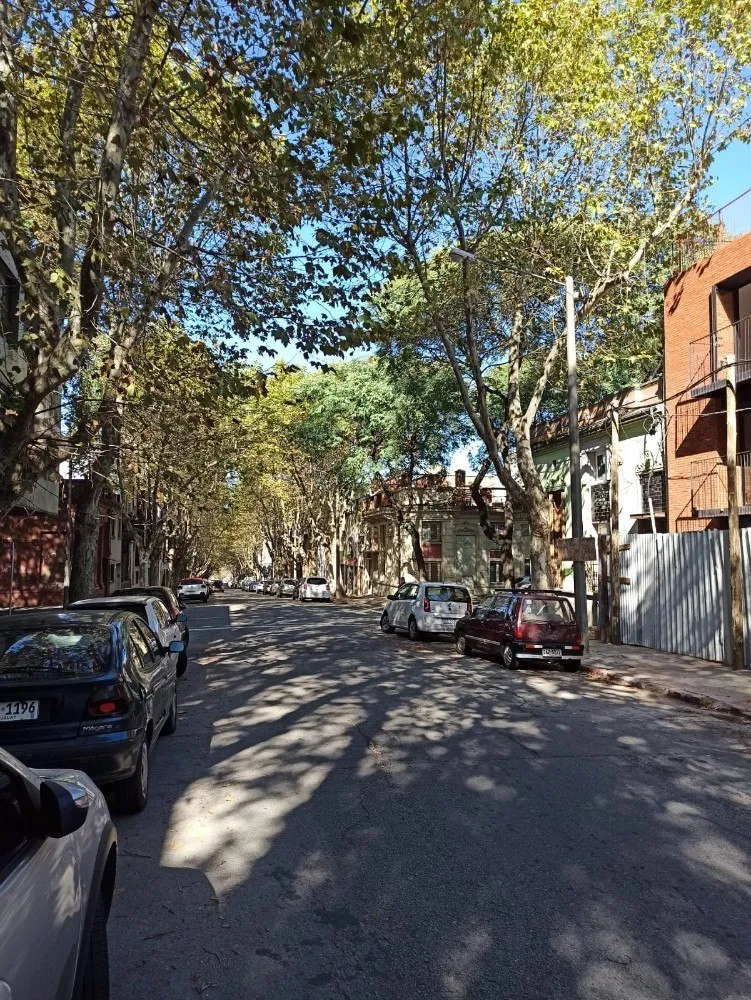 Alquiler 1 dormitorio
Salterain 1311
Cordón, Montevideo
$
21.000_5ebc2c9823fa2.webp