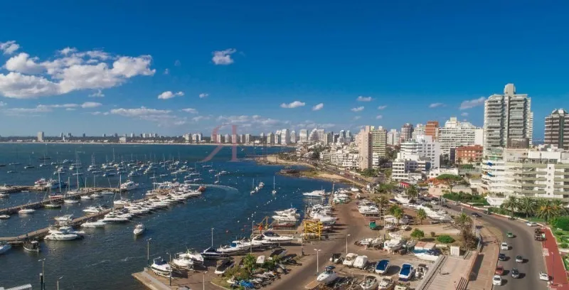Alquiler de apartamento
Gorlero Entre Calle 19 Y 21
Punta Del Este, Maldonado
U$S
8.800
temporada 2019 – 2020_5eb0a99d38127.webp