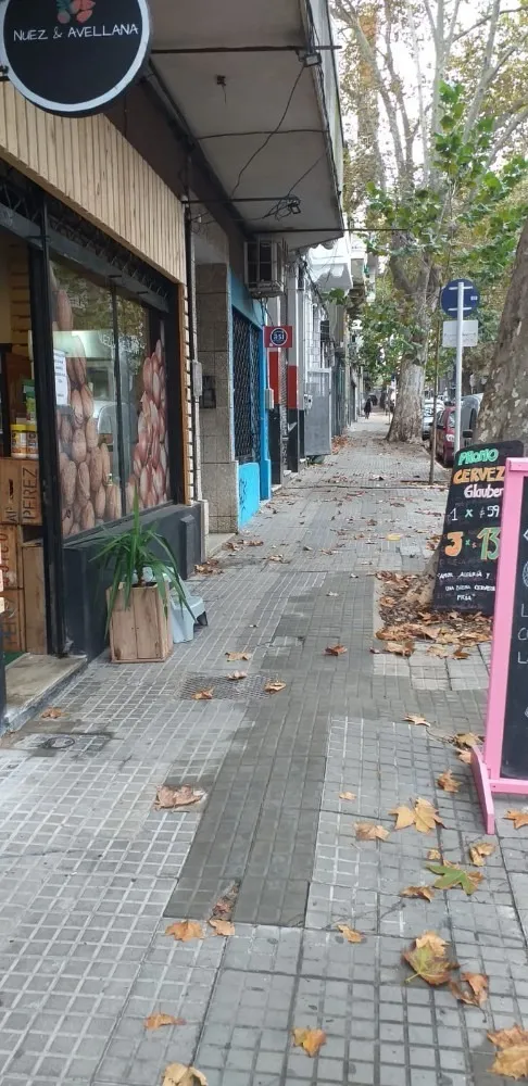 Alquiler monoambiente
Florida 000
Centro, Montevideo
$
13.500_5ec97f84e6d7d.webp