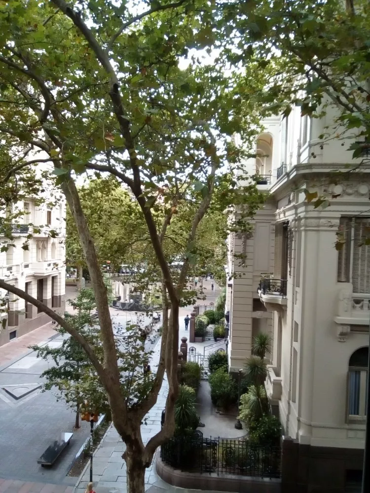 Alquiler 1 dormitorio
Héctor Gutierrez Ruiz Esq San José 1
Centro, Montevideo
$
19.000_5e5421fd558b8.webp