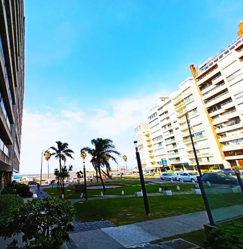 Alquiler monoambiente
Av. Brasil 220420
Pocitos, Montevideo
$
19.500_5ea1cd914d8aa.webp